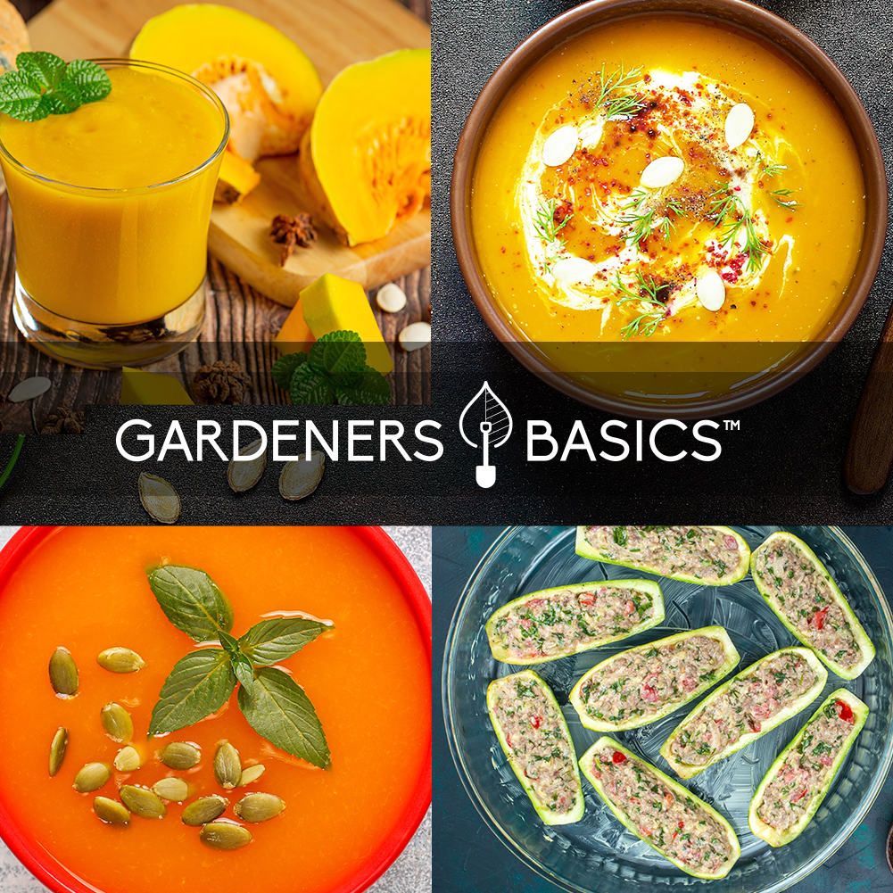 Squash soups and stuffed zucchini showing serving ideas for homegrown squash
