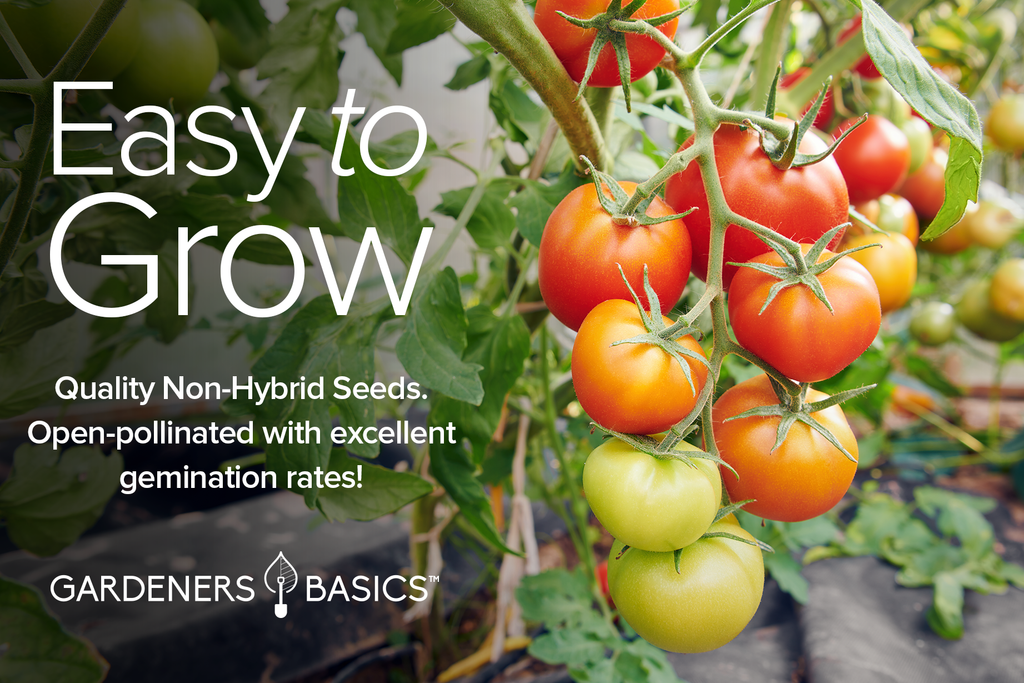Growing Tomatoes 101: Start with Our 16 Variety Pack