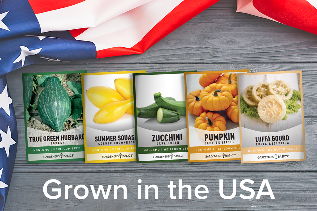 Grow Your Own Zucchini and Golden Crookneck with Our Seed 5 Pack
