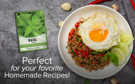 Homegrown Thai Basil: Premium Seeds for A Thriving Herb Garden