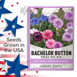 Upgrade Your Garden with Bachelor's Button Polka Dot Mix