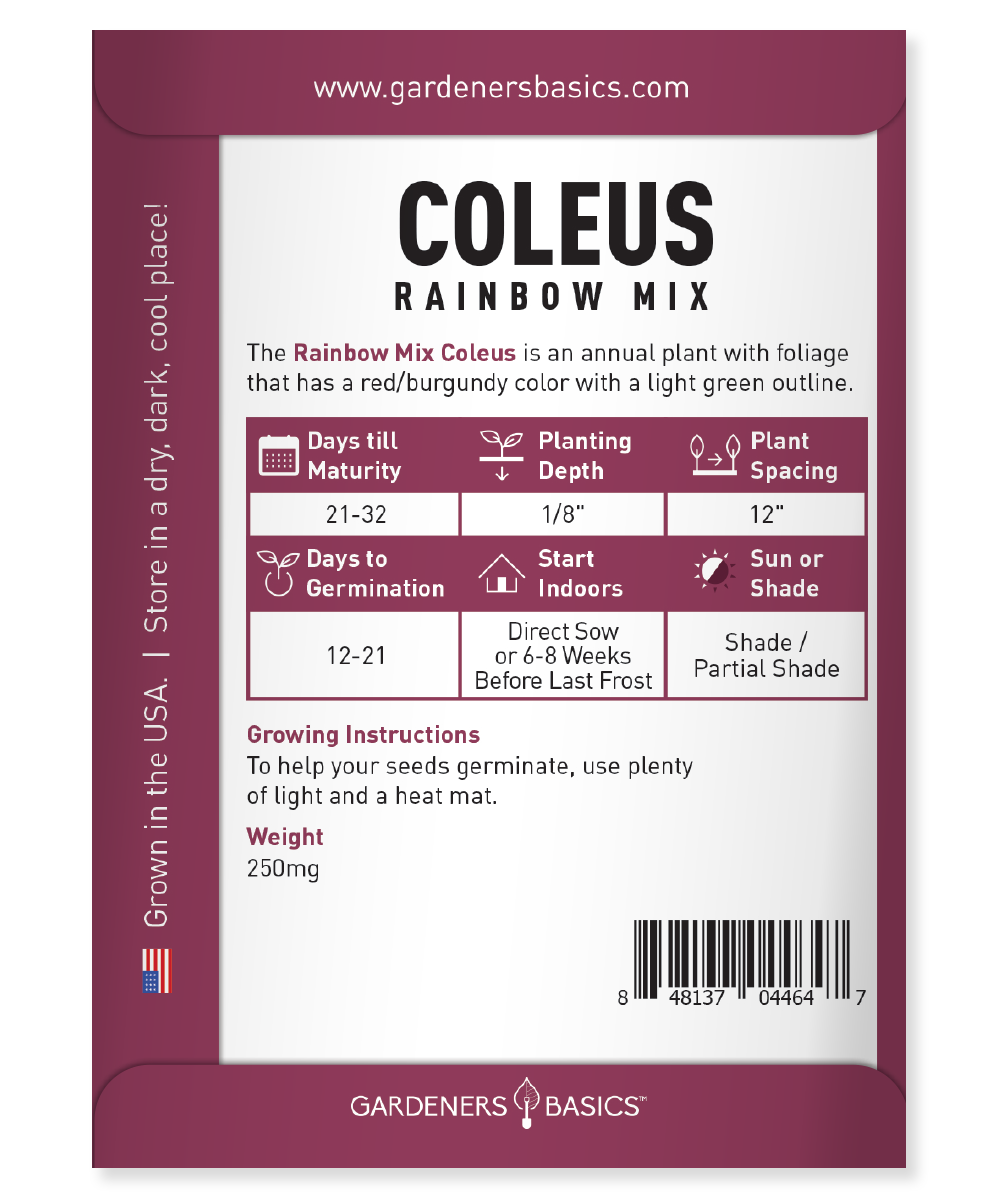 Coleus Rainbow Mix: Easy-to-Grow, Colorful Perennial for Shade