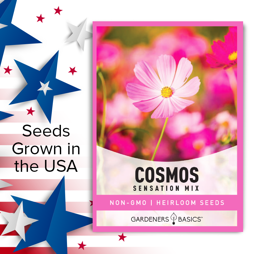 How to Plant and Care for Cosmos Sensation Mix Seeds