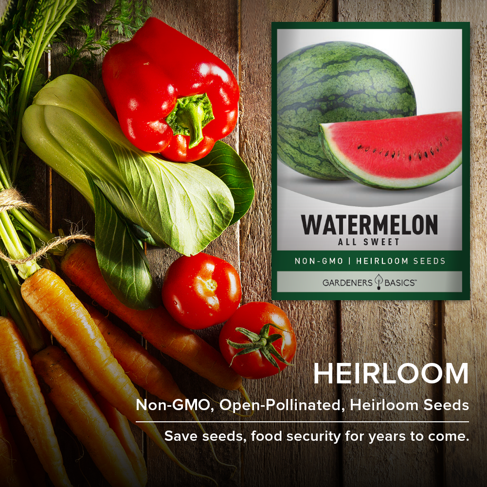 Buy All Sweet Watermelon Seeds – Non-GMO, Open-Pollinated