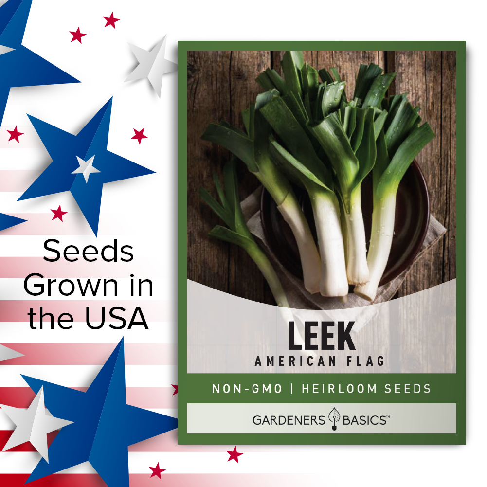 American Flag Leek Seeds: A Unique and Flavorful Addition to Your Garden
