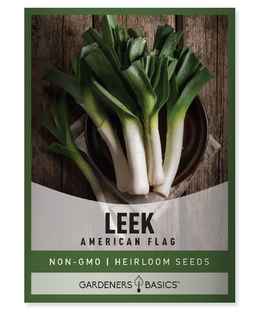 American Flag Leek Seeds Patriotic Garden Leek Seeds for Planting Organic Leek Seeds Non-GMO Seeds Red, White, and Blue Leeks American Flag Leeks Gardening USA-themed Garden Grow Your Own Leeks American Pride Garden Stars and Stripes Leeks Unique Garden Display Leek Seeds Online American Flag Leek Plant Vegetable Seeds Gardening Supplies Garden Enthusiasts Homegrown Produce Heirloom Leek Seeds