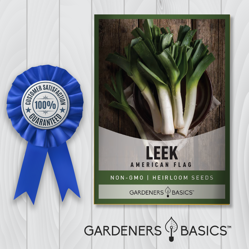 Non-GMO American Flag Leek Seeds for the Proud American Gardener