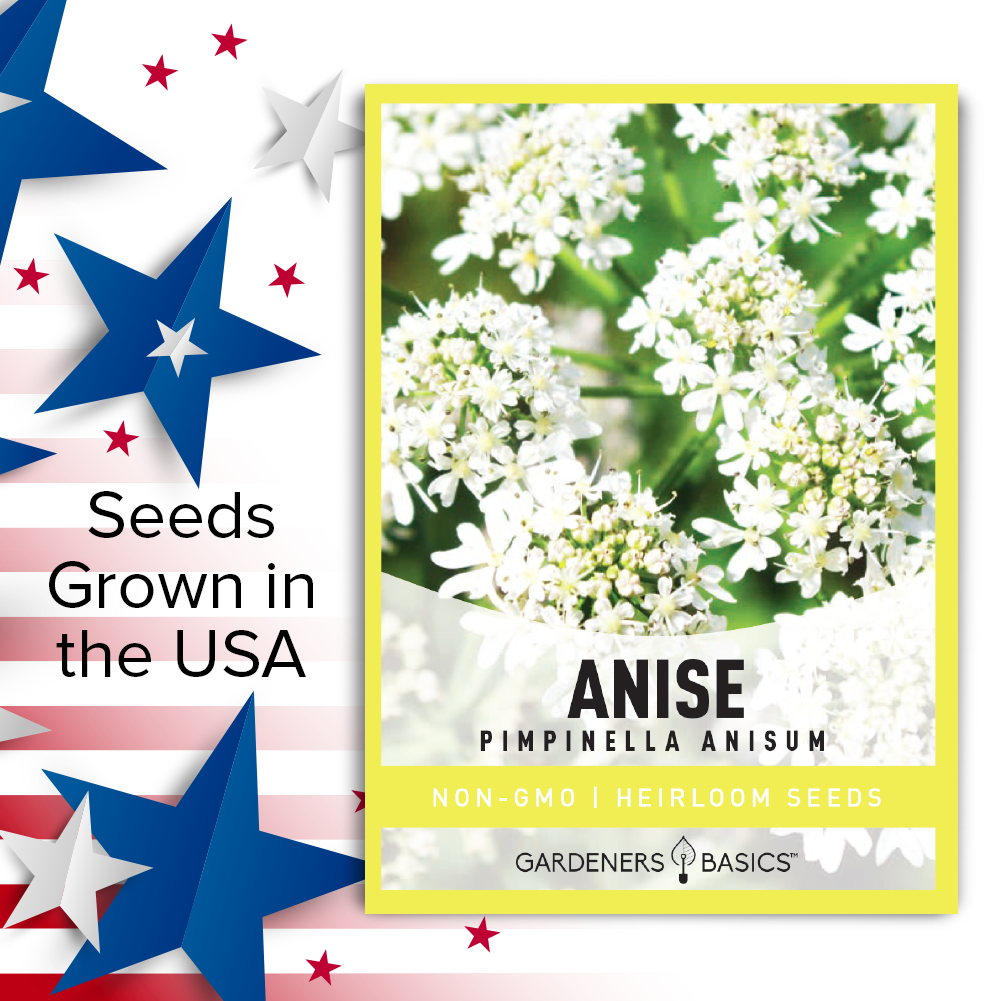 Grow Your Own Anise Plants – Start with Premium Planting Seeds