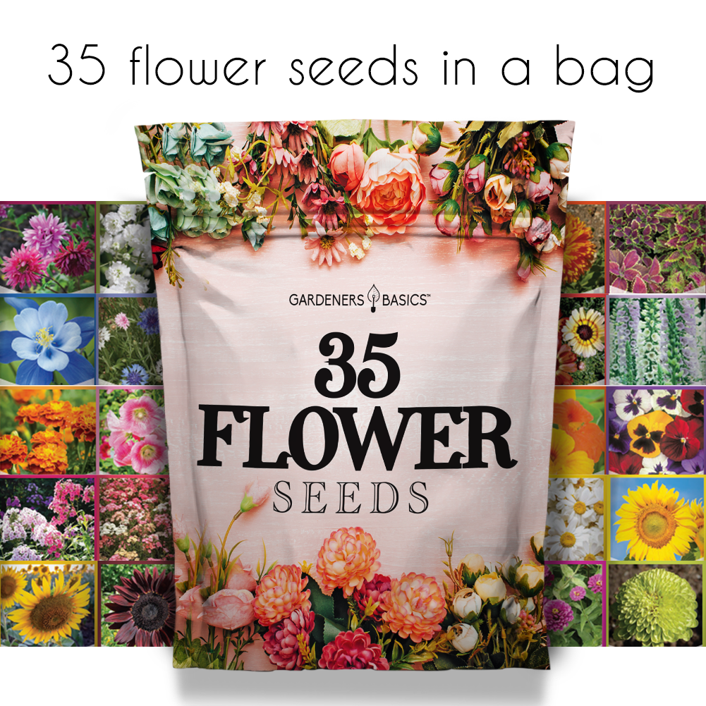 annual plant seeds Wildflower, Perennial, Annual Flower Seed Kit