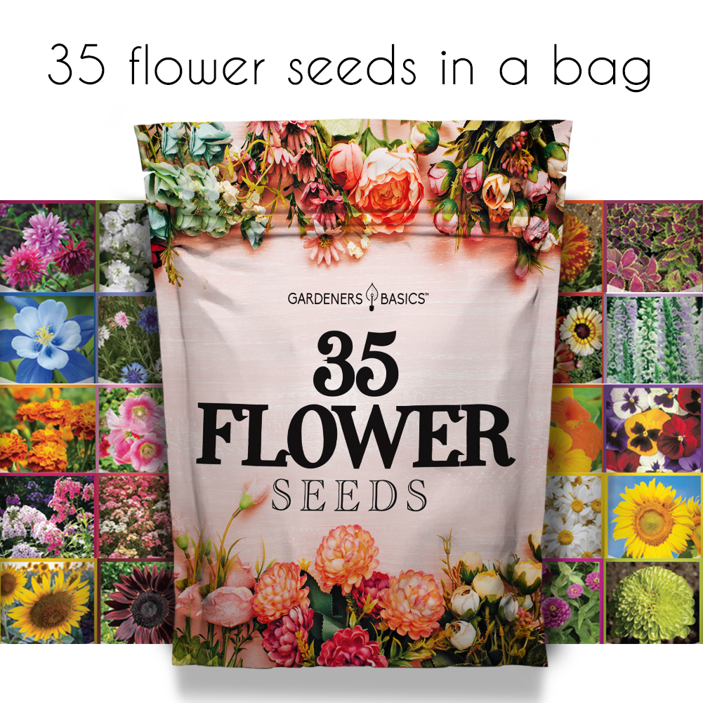 Transform Your Outdoor Space with Our 35 Flower Seed Assortment for Planting