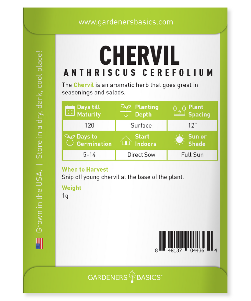 Chervil Herb Seeds for Planting: Grow the Ultimate Aromatic European Herb
