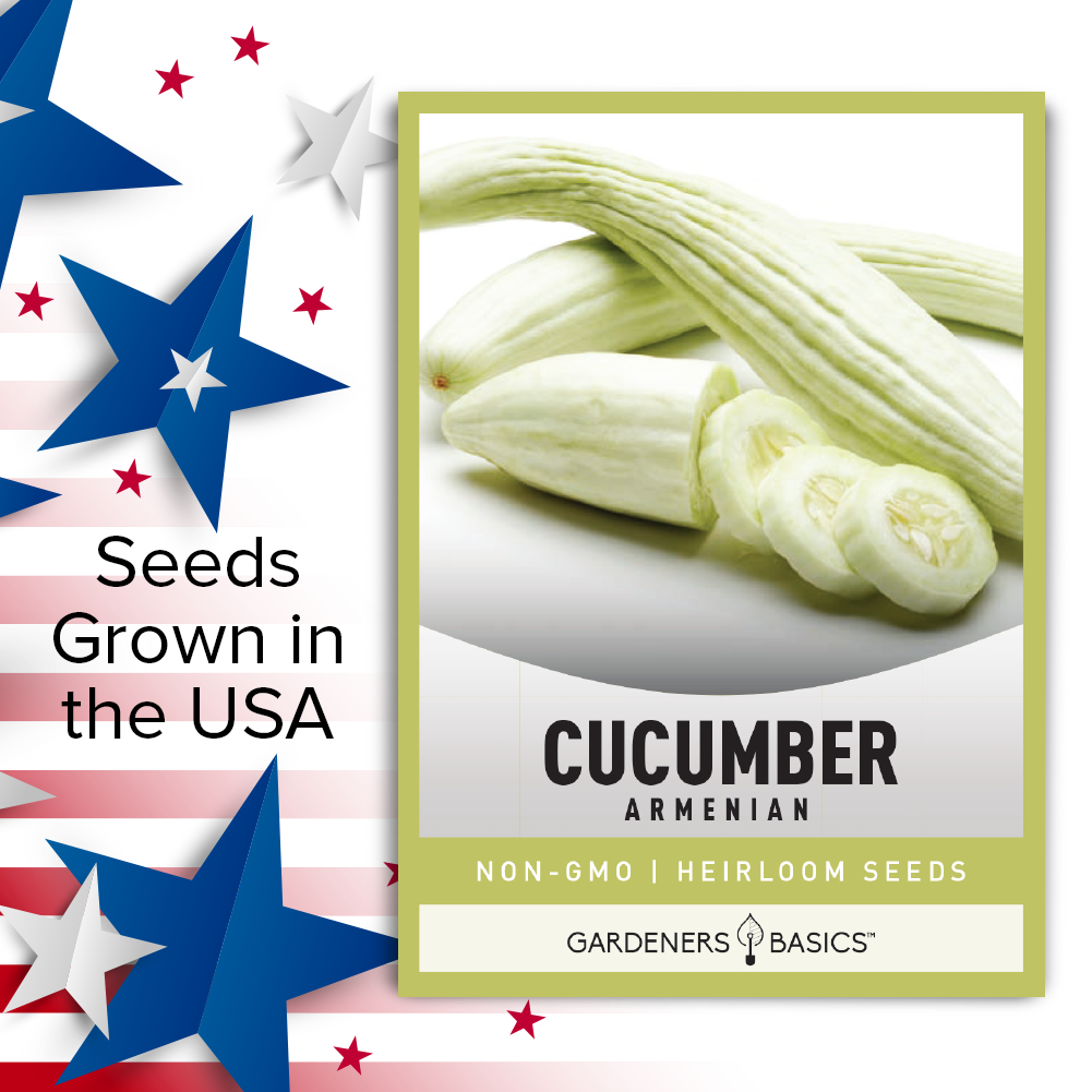 planting armenian cucumber seeds Armenian Cucumber Seeds