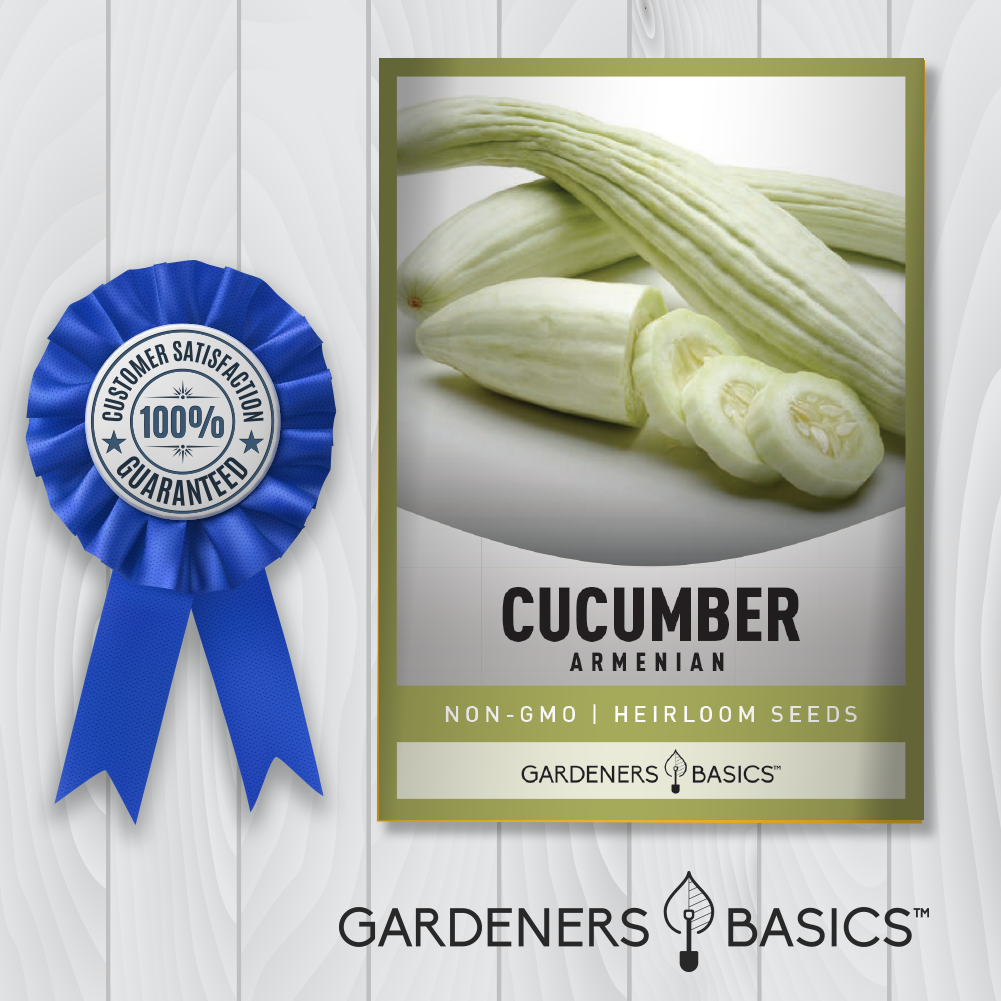 Armenian Cucumber Seeds: High Germination Rate for a Bountiful Harvest
