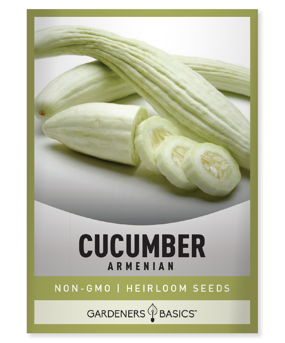 planting armenian cucumber seeds Armenian Cucumber Seeds