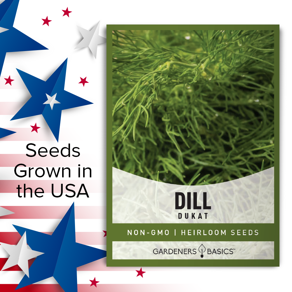 Dukat Dill Seeds: The Secret Ingredient for Flavorful Dishes