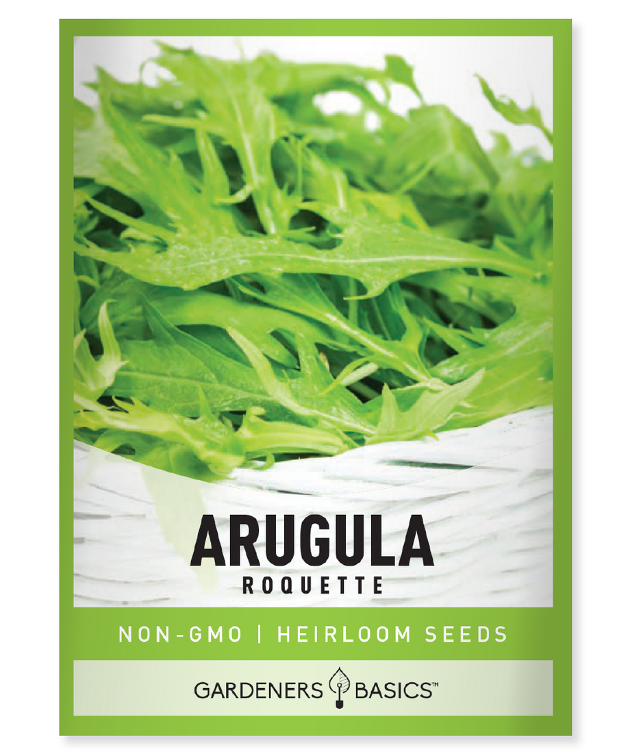 arugula plant seeds Roquette Arugula Seeds – Gardeners Basics