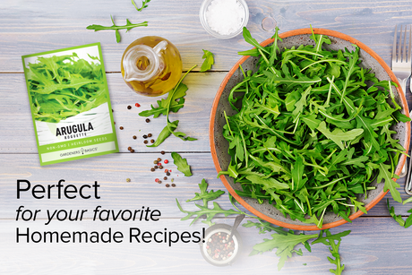 Roquette Arugula Seeds For Planting Non-GMO Seeds For Home Vegetable Garden Homemade Recipes