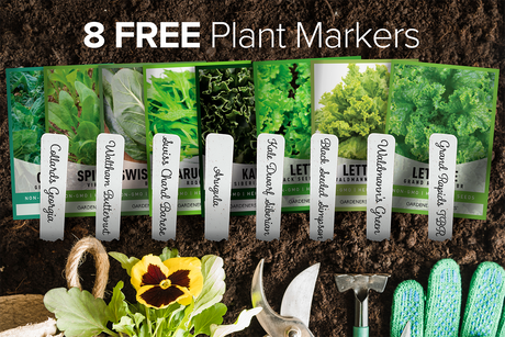 Fresh Salad Greens Seed Kit - 8 Packs for Your Garden