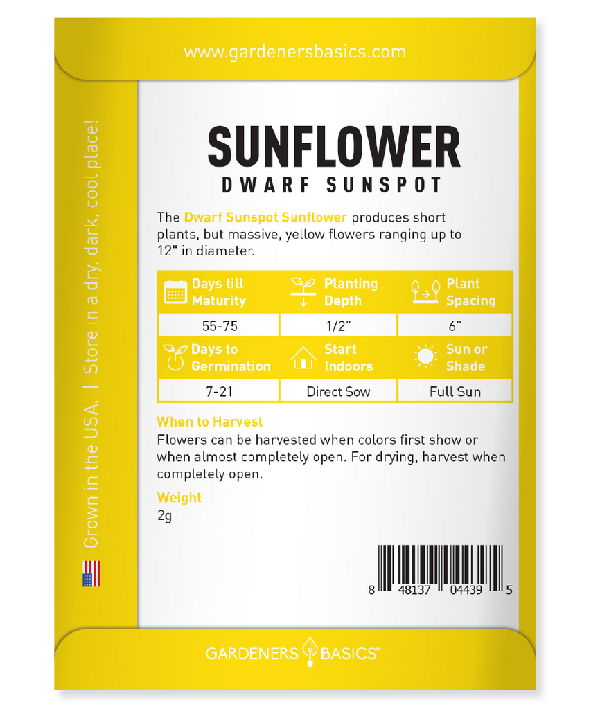 Sunspot Dwarf Sunflowers: The Ideal Choice for Full Sun Gardens