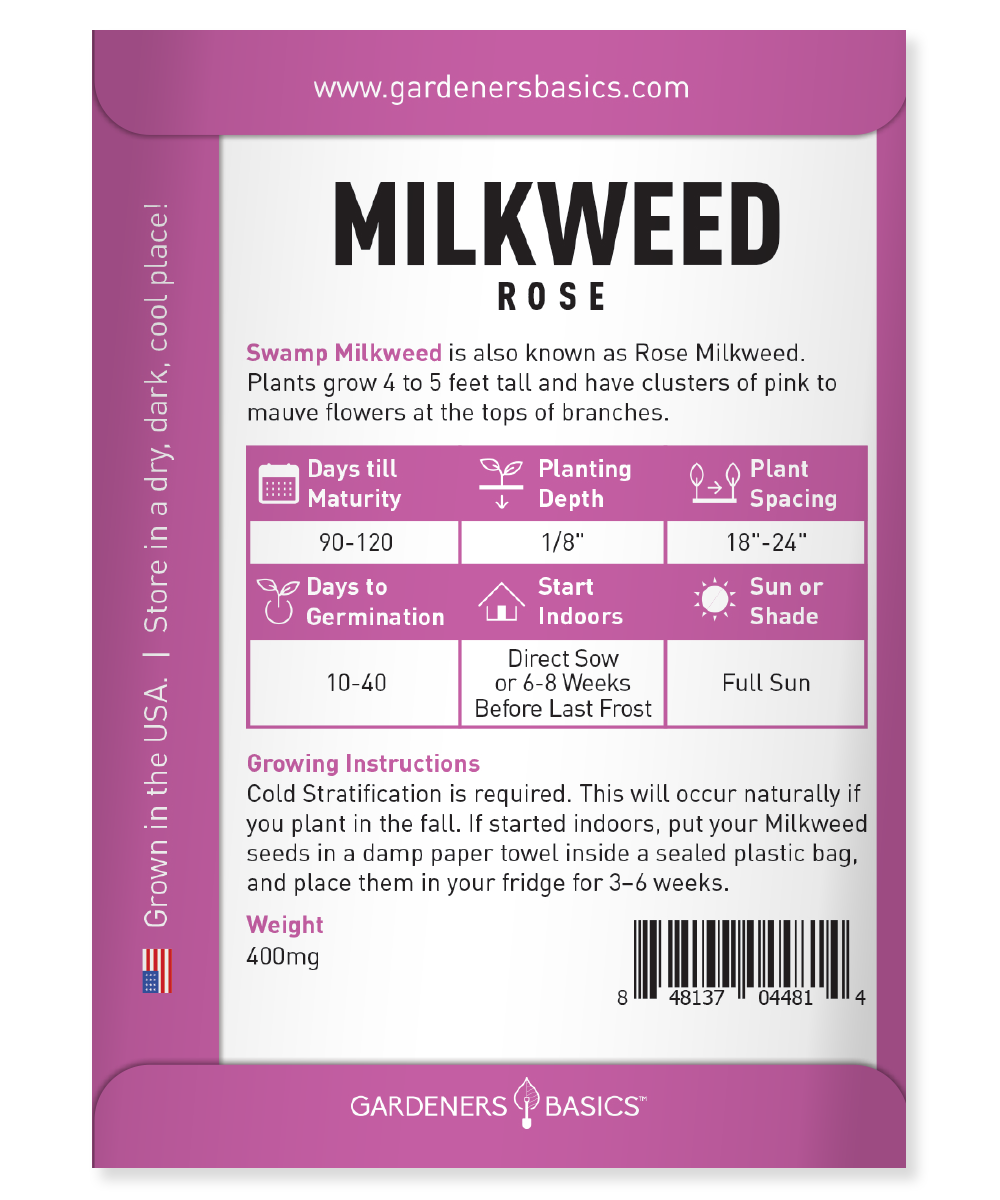 Swamp Milkweed: A Host Plant for Monarch Butterflies