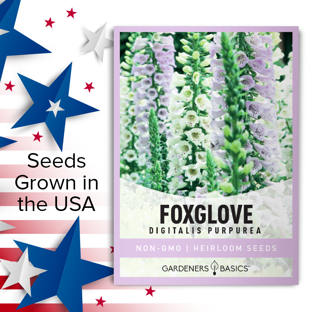 Grow Foxglove Seeds and Harness the Power of Digitalis for Heart Health