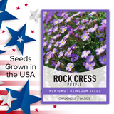 Incorporate Aubrieta Deltoidea into Your Rock Garden Design for a Pop of Color