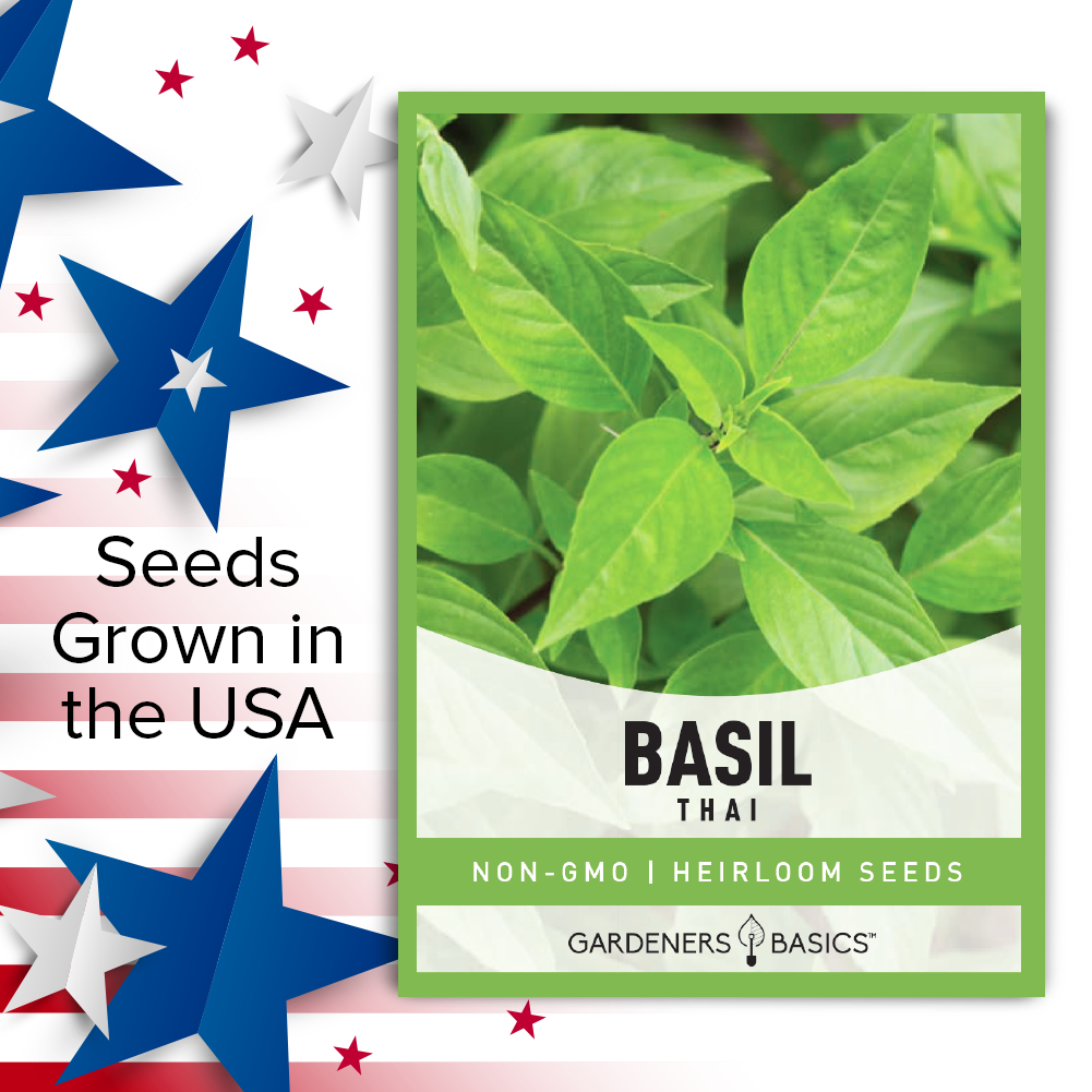 Grow the Perfect Thai Basil: Non-GMO Seeds for a Flavorful Herb Garden