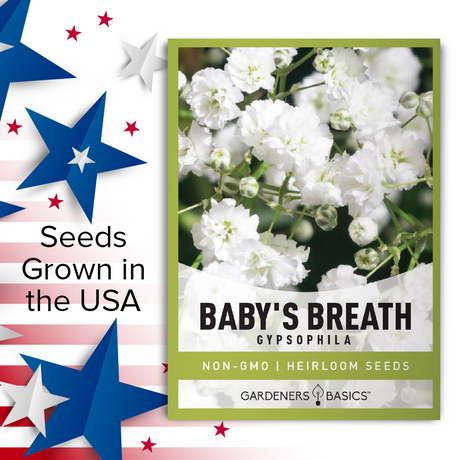 Baby's Breath Seeds: A Dreamy Addition to Any Garden or Floral Arrangement