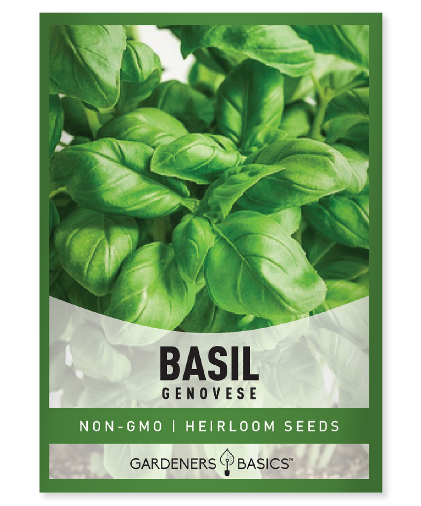 Genovese Basil Seeds For Planting Non-GMO Seeds For Home Herb Garden