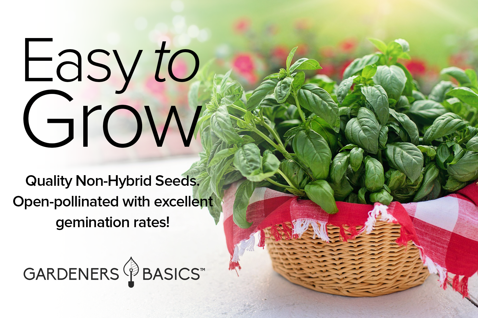 Grow Delicious Basil with Our 8 Variety Pack of Heirloom Basil