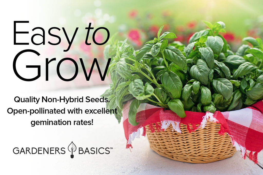 USA-Grown Basil Seeds: Heirloom, Non-GMO Varieties for Planting