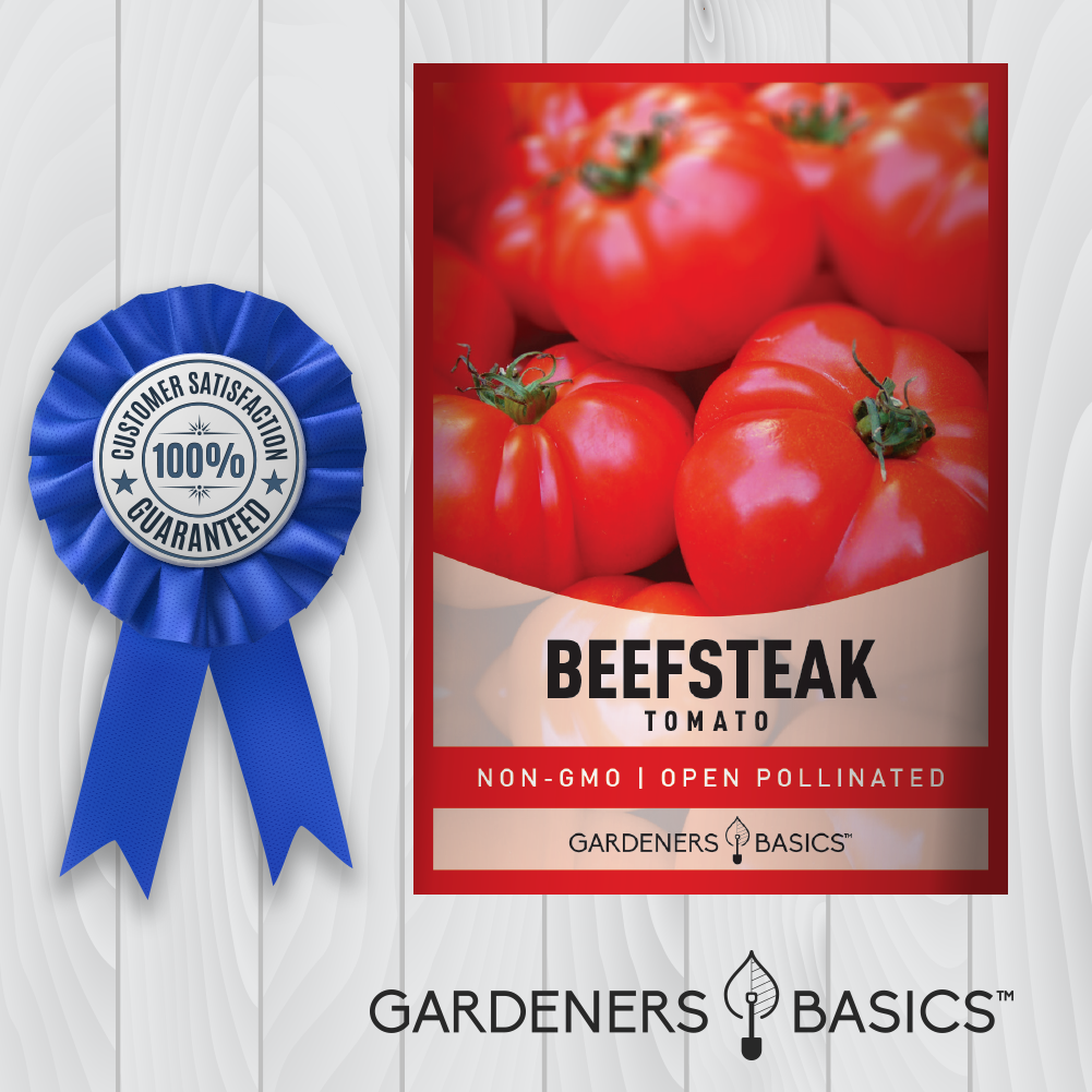 Beefsteak Tomato Seeds - Perfect for Sandwiches, Salads, and Sauces
