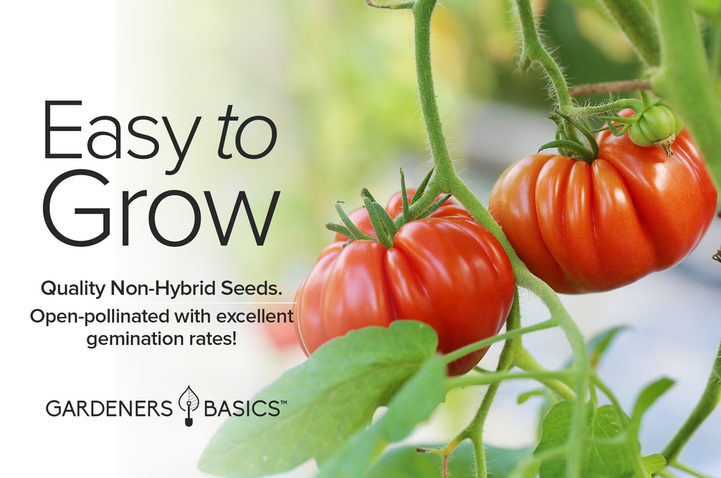 High-Quality Beefsteak Tomato Seeds - Turn Your Garden into a Tomato Wonderland