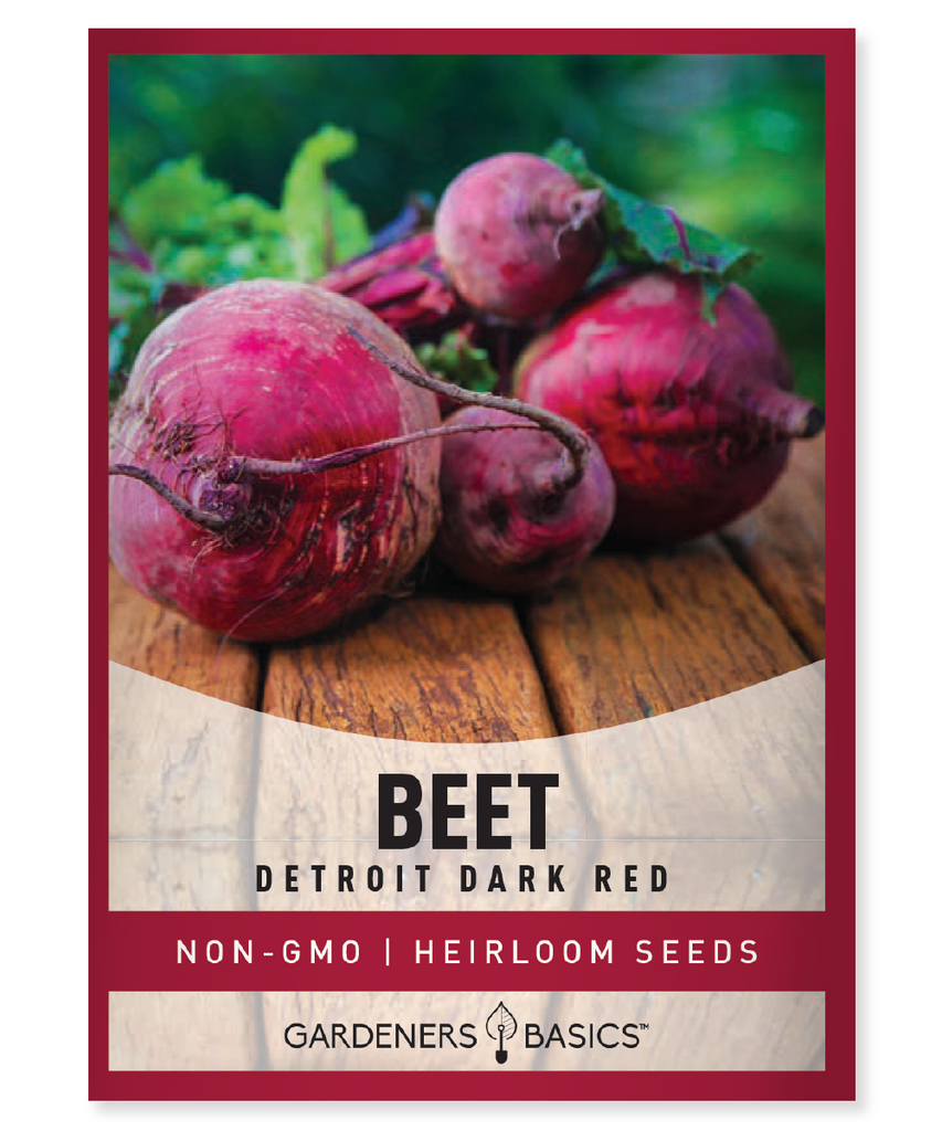 Detroit Dark Red Beet seeds Non-GMO beet seeds Home gardening Nutrient-dense beets Health benefits of beets Antioxidants Crimson garden Urban farming Vitamin-rich beets Earthy flavor Sustainable gardening Easy to grow beets