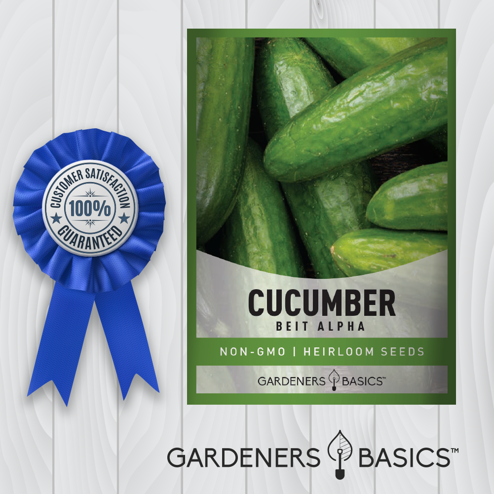 Greenhouse, Container, or Garden: Beit Alpha Cucumber Seeds Thrive Anywhere