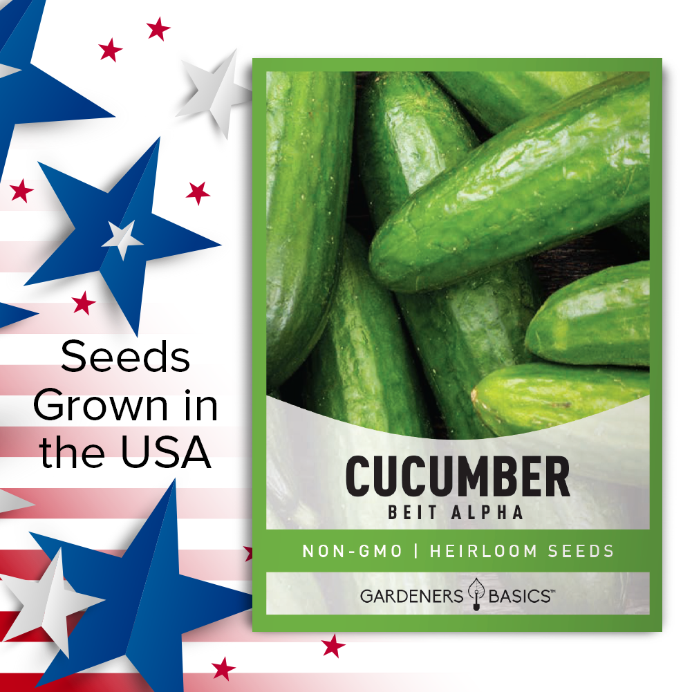 Grow the Perfect Cucumber: Beit Alpha Seeds for Every Gardener