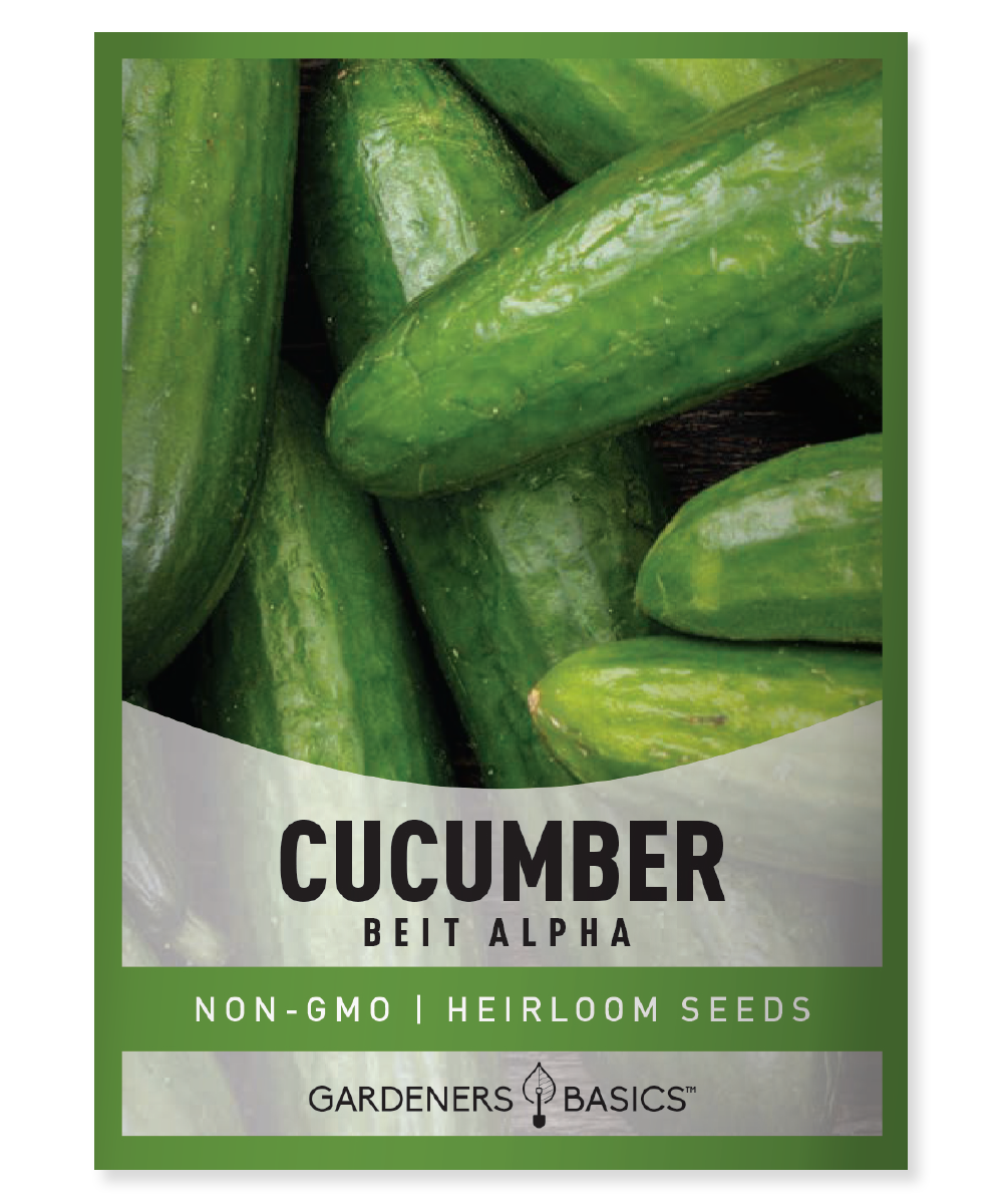 cucumber seeds for planting Best Beit Alpha Cucumber Seeds for Planting: High-Yield & Nutritious – Gardeners Basics