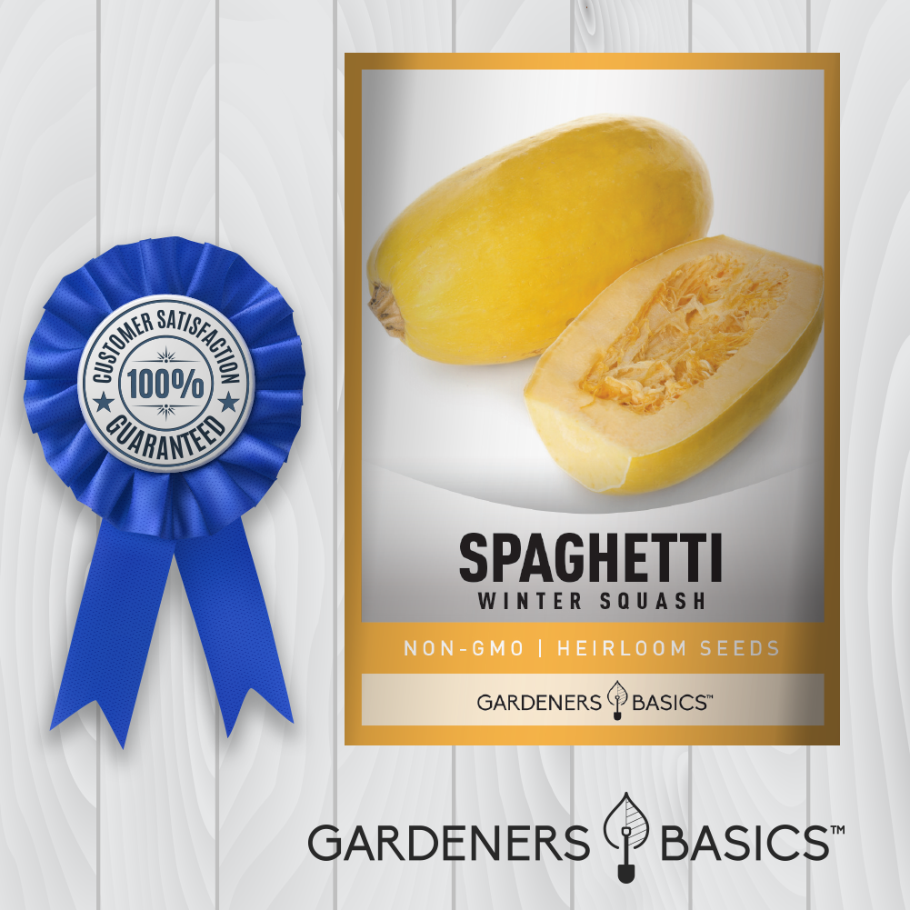 Garden-Fresh Spaghetti Squash Seeds for Healthy and Delicious Dishes