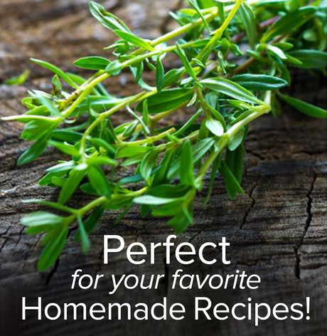 Grow Your Own Gourmet Herbs: Premium Summer Savory Seeds for Planting