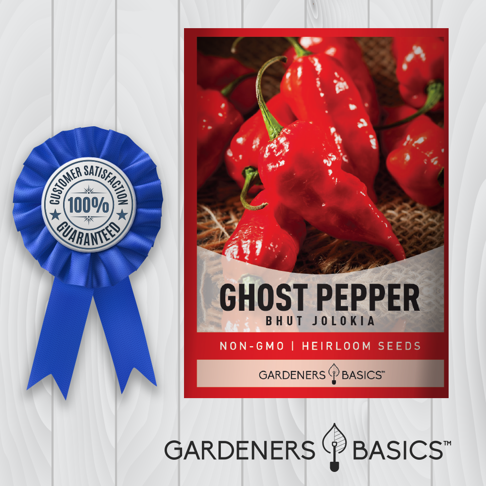 Sow the Heat: Ghost Pepper Seeds for Planting Bhut Jolokia Peppers