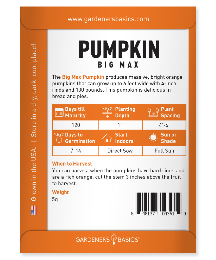 Experience the Magic of Growing Giant Pumpkins with Big Max Pumpkin Seeds