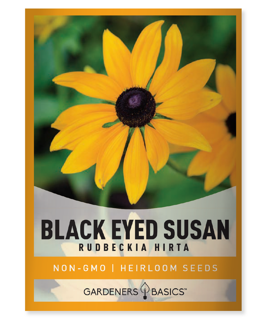 Black Eyed Susan Flower Seeds For Sale Wildflowers for Blooming Garden –  Gardeners Basics