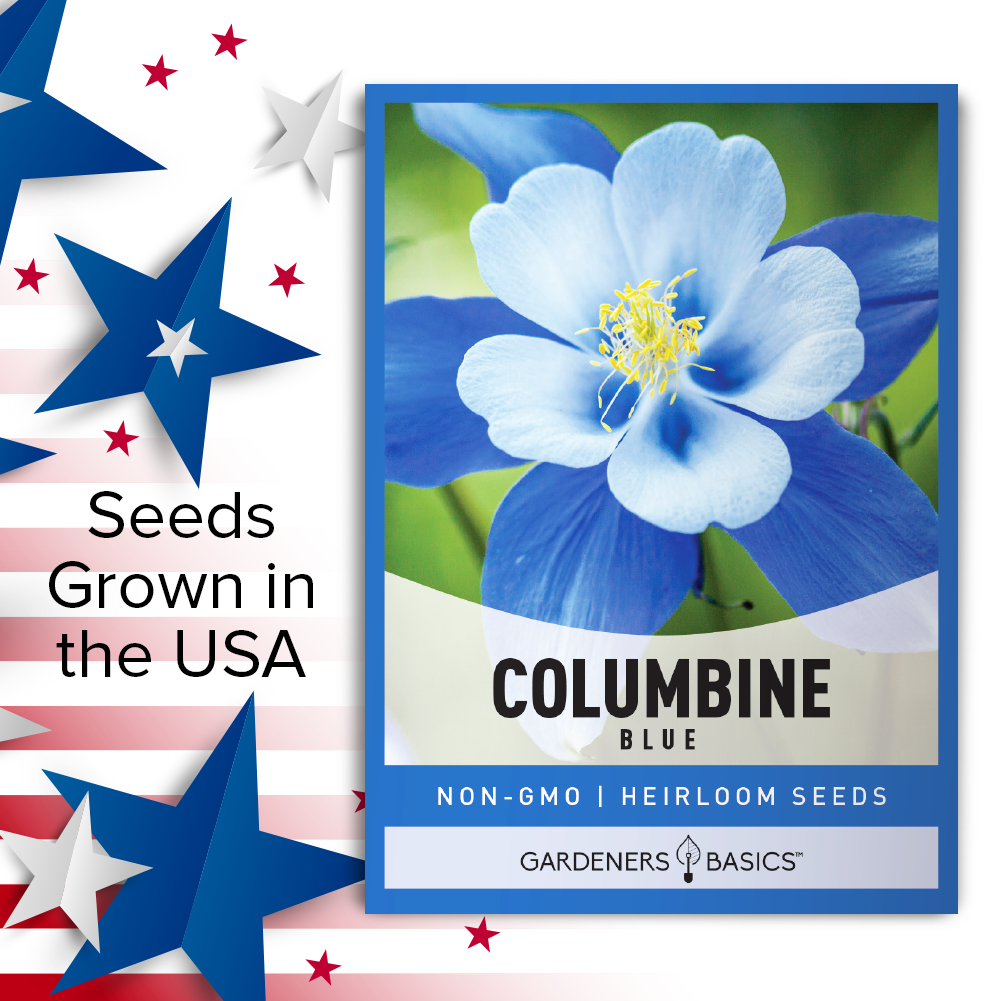 colorado columbine flower seeds Gardeners Basics, Blue Columbine Seeds For Planting (Aquilegia Seeds)
