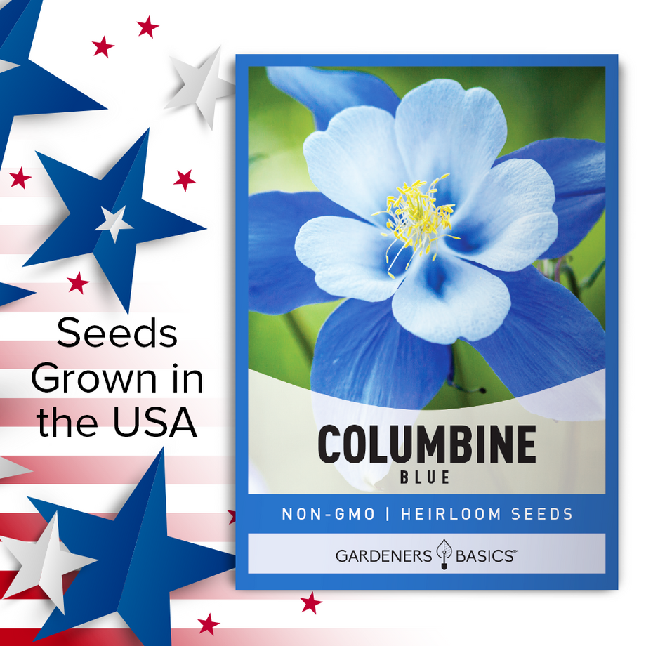 columbine flower seeds Gardeners Basics, Blue Columbine Seeds For Planting (Aquilegia Seeds)