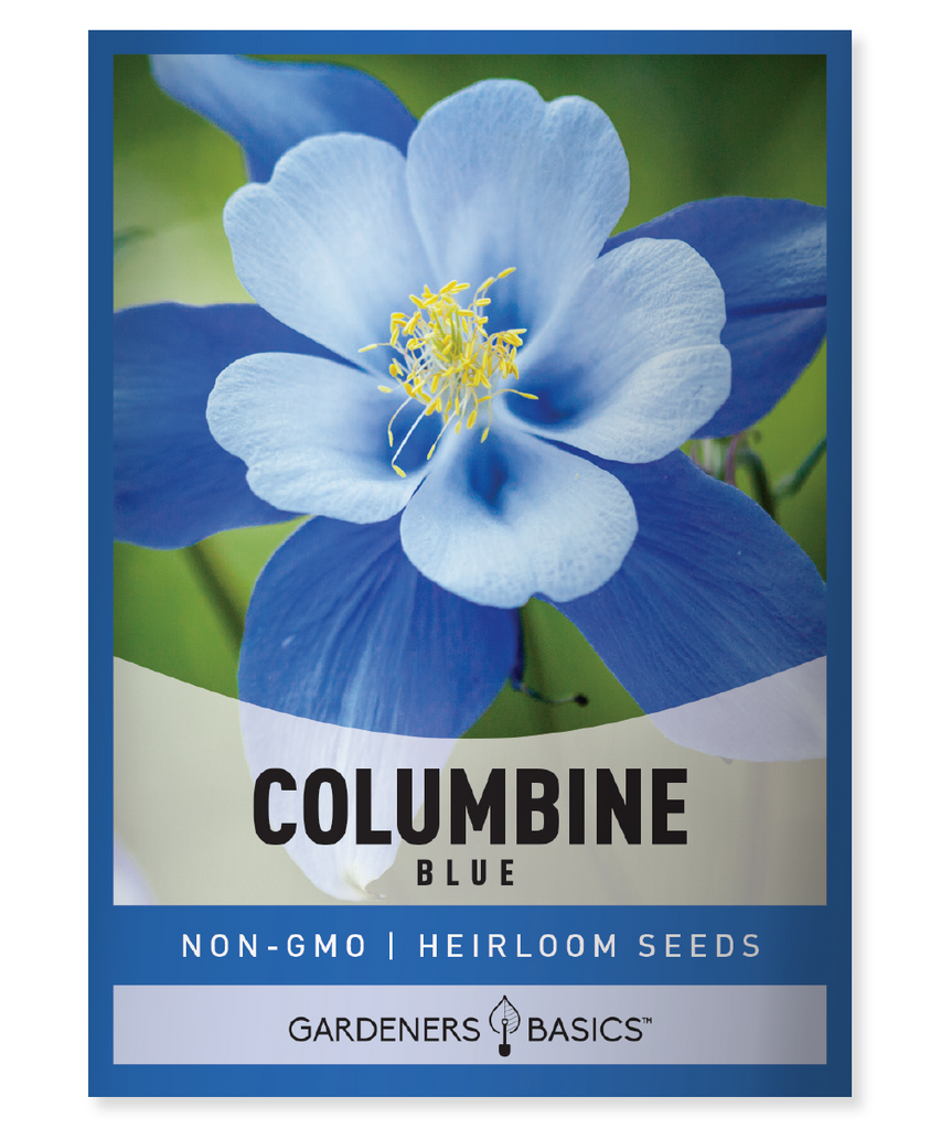 Blue Columbine Aquilegia caerulea Colorado state flower Rocky Mountains perennial seeds mountain meadow aspen and spruce-fir communities subalpine meadows garden landscape flower borders garden focal points cool climates hot climates filtered shade full sun