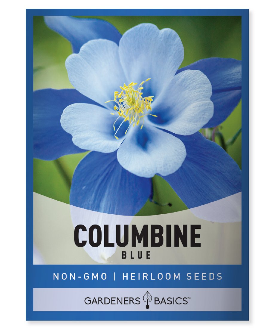 blue flower seeds Blue Columbine Seeds