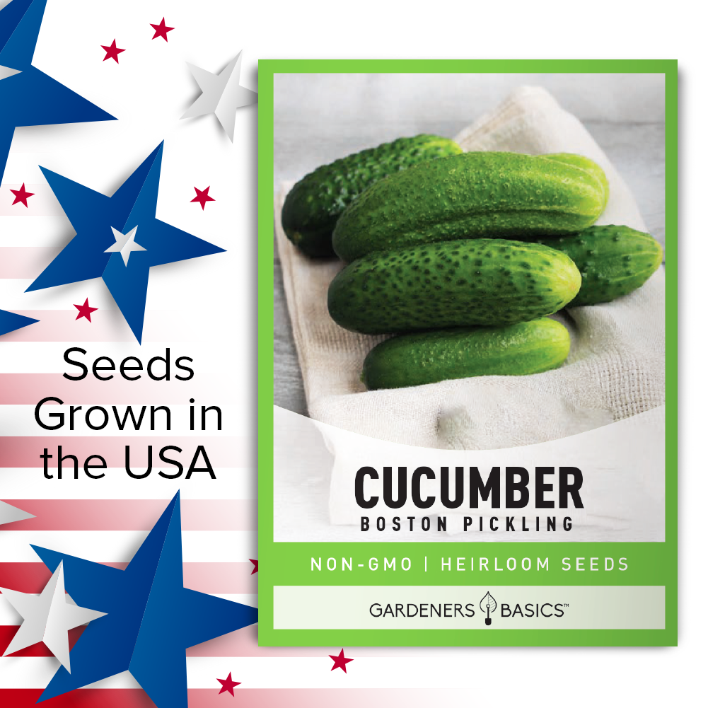 Boston Pickling Cucumber Seeds: Eco-Friendly Gardening and Delicious Pickles