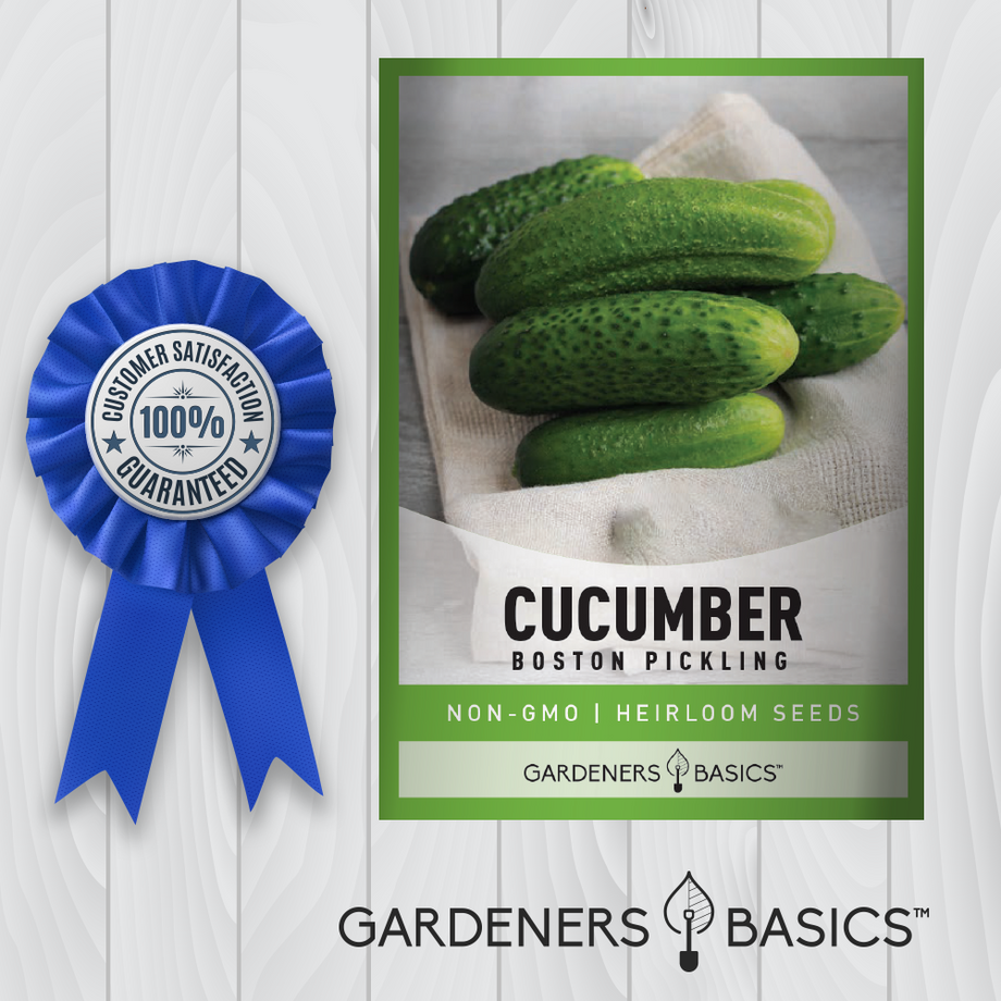 best cucumber seeds to plant Heirloom Boston Pickling Cucumber Seeds Non-GMO & Great for Preserving –  Gardeners Basics