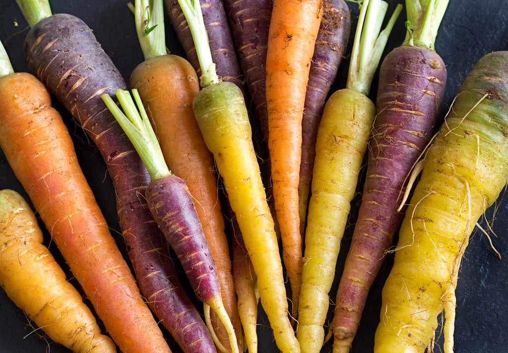 Grow Your Own Colorful Carrot Medley with Our Rainbow Carrot Seeds
