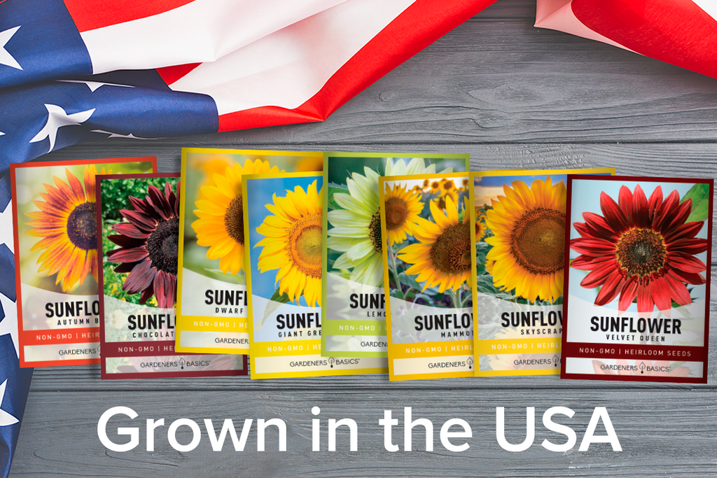 Sunflower Seed Variety Pack for a Stunning Garden Display